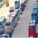 주정차-31 이미지