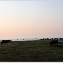 신풍목장 이미지