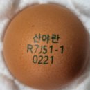 J농장 이미지