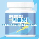 정 | 키플정 부작용 내돈내산 후기 효과 복용법 성분 (안보면 후회)
