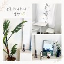 카페어젠 | 천안 신부동 카페어젠 내돈내산｜신세계백화점 근처 감성카페 티라미수 수플레 후기 ☕️🤍