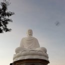 효도리세계여행 네이버블로그