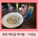 [춘천 애막골술집 //분위기 좋은 데이트 장소] - 하이볼 술집 수컷웅 춘천 강원대점
