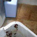 이지홈케어
