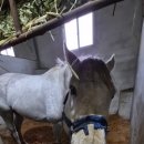 연학목장 이미지