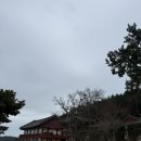 신흥사 화장실 | <전남/완도> 바다가 보이는 템플스테이 명소 완도[신흥사]