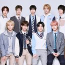 스쿨룩스 이미지