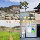 봄인디 보러와유 | 5월 충남 보령 가볼만한곳 4곳 당일치기 여행 코스 추천