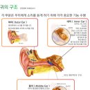 귀의 구조 이미지