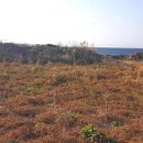 신동-115 이미지