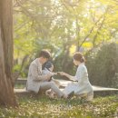 진주주단