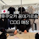 5781 | 후쿠오카 꼼데가르송 CDG 매장 가디건 코치자켓 가격 면세 후기