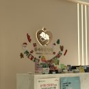 품속 | 춘천 품속동물병원 고양이 강아지 진료 건강검진 후기