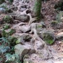 자연애민박 이미지