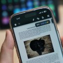 시간관리효율화 | UPDF 사용 후기: Adobe 대안으로 업무 효율화까지 가능한 가성비 PDF 프로그램