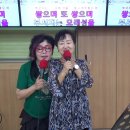 남인경의 노하우 - 종로 마사회 노래교실- 감사팡파레 & 차정숙쌤- 꼬마 인형 이미지