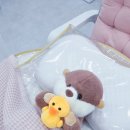 미쁘당 이미지