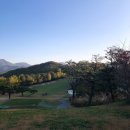 바디스타 휘트니스 이미지