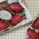 백용농장 이미지