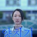 손경원 카카오 검색결과