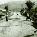 남일약국 Daum카페