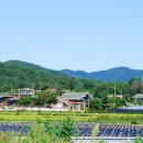 박사마을 이미지