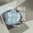 디어메이 퓨어 폴링 무드 립팟 스톨른키스 파운딩하트 립팟 찐 후기 !!
