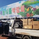 보물섬황칠