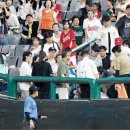 폭염 속 야구보다 쓰러진 관중 퇴원… ‘뇌혈류 감소’로 실신 이미지