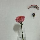 동대구경북약국 | [2025년 상반기 결산]