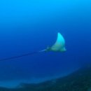 이수연댄스아카데미 이미지