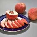 선명이네 이미지