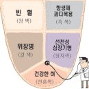 혀로보는 건강진단 이미지