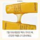 아모레서구 - 서구 보수대로 71 | 26년 7월 아모레방판 책자 가이드북 / 설화수,헤라,홀리추얼,바이탈뷰티 프로모션
