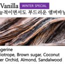 바닐라코튼 Vanilla Cotton 이미지