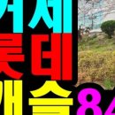 금조공인중개사사무소 이미지