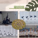 [한국최초개설] 춘해보건대학교 요가과 2022학년도 수시모집 안내 이미지