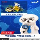 (주)유한헬스케어 | 신뢰의 유한양행과 수의사가 만든 ‘뉴트리헬스 리버케어’ 후기