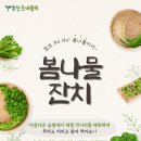 산야초 단기과정 ＜봄나물 대잔치＞ 이미지