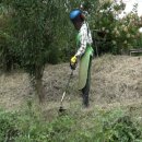 삼대농장 이미지