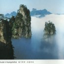 황실장가계 이미지