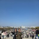 여주추모공원화장실 | 2026 여의도 봄꽃축제 블랙이글스 에어쇼 직관 후기(벚꽃은 지고.. 추억은 남고....)