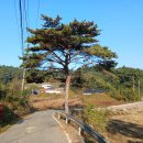 벌천포 선착장 이미지