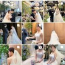 트라움파크 이미지