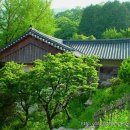 선암사 - 부산진구 부암3동 | 선암사