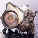 소라언덕 이미지