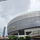 스카이돔피시넷 | [기아 야구 직관 후기] 2026.05.27 KIA vs 키움 고척돔 / 201구역 C열 / 크림새우 / 백남옥손만두