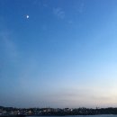 코알라카페