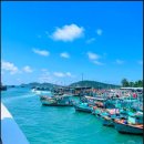 섬과 하루 이미지