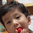 용범농장 이미지